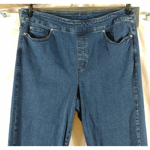 Allison Daley Women's Blue Straight Leg Mid Rise Designer Jeans Plus Size 18 S - Picture 3 of 7